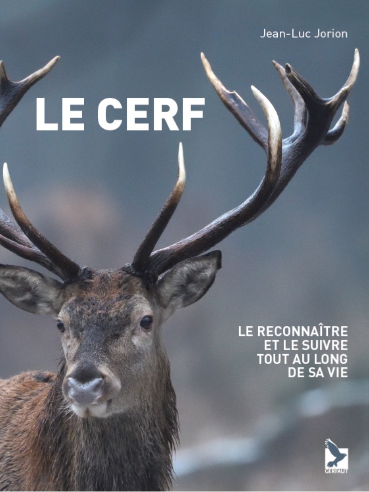 Le cerf, nouvelle édition 2022