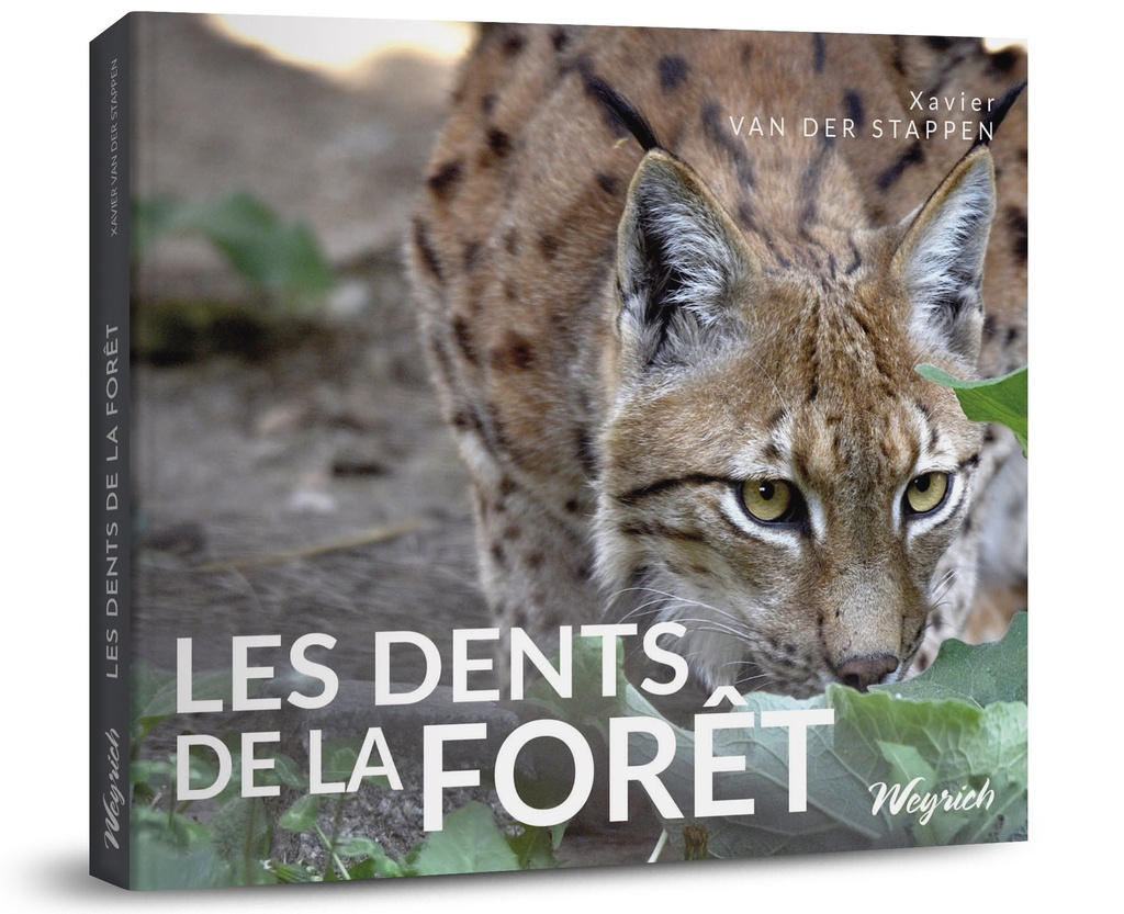 Les dents de la forêt - Xavier Van der Stappen