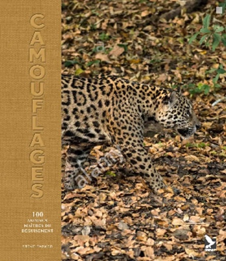 [SHOP-LIV-108] Camouflages