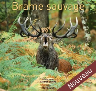 [SHOP-LIV-118] Brame sauvage (Levoye)