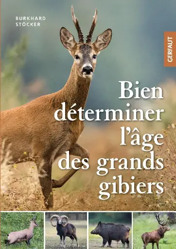 Bien déterminer l'âge des grands gibier